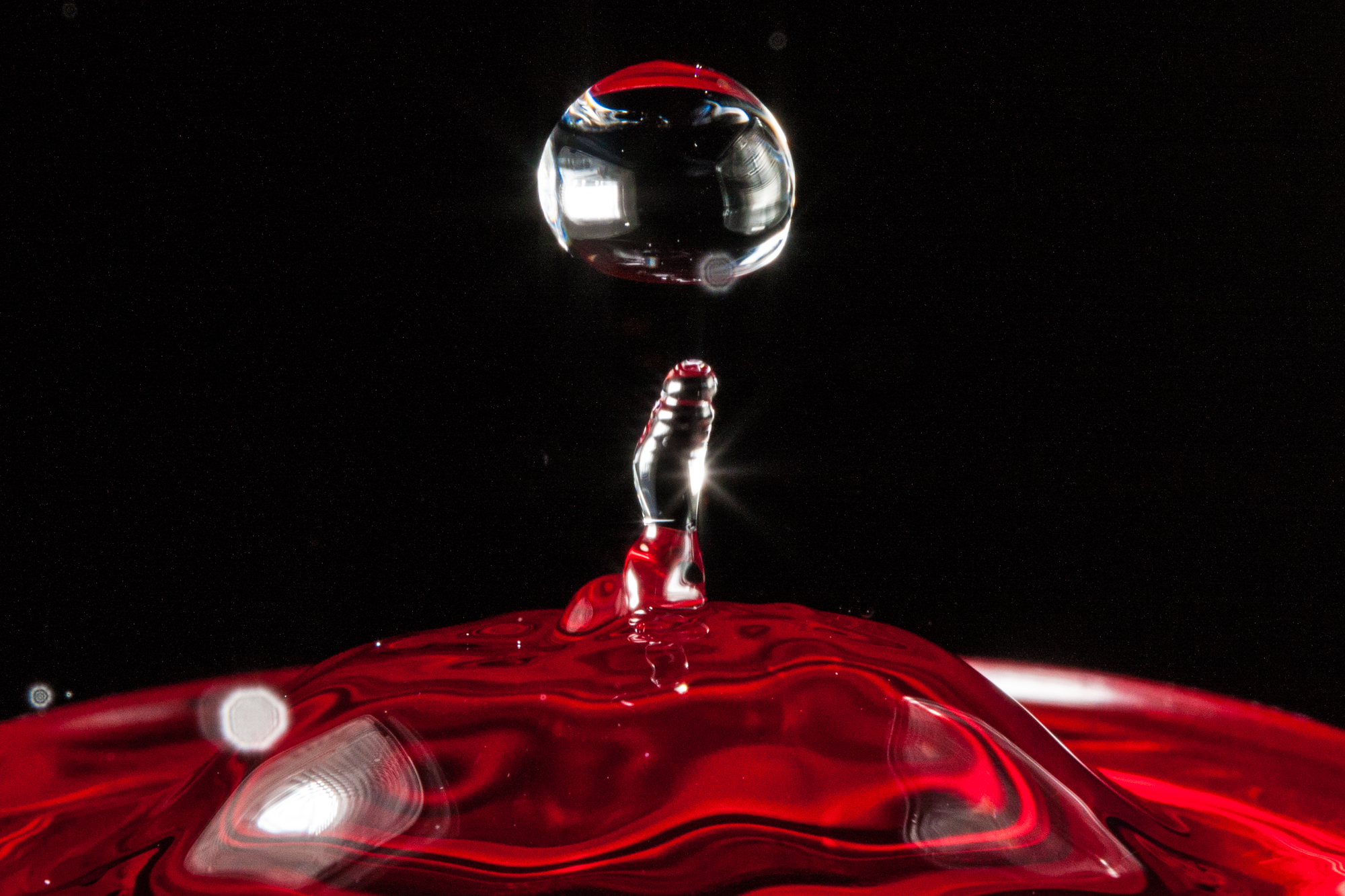 What camera should I buy? Find out the 6 questions you should ask yourself before you buy your next (or first!) camera.