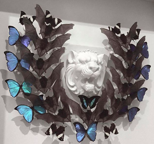 Joseph Grazi made CreativeLive's list of Top Designers and Artists to Follow on Instagram.