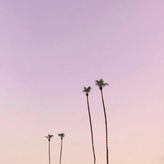 Max Wanger made CreativeLive's list of Designers and Artists to follow on Instagram.