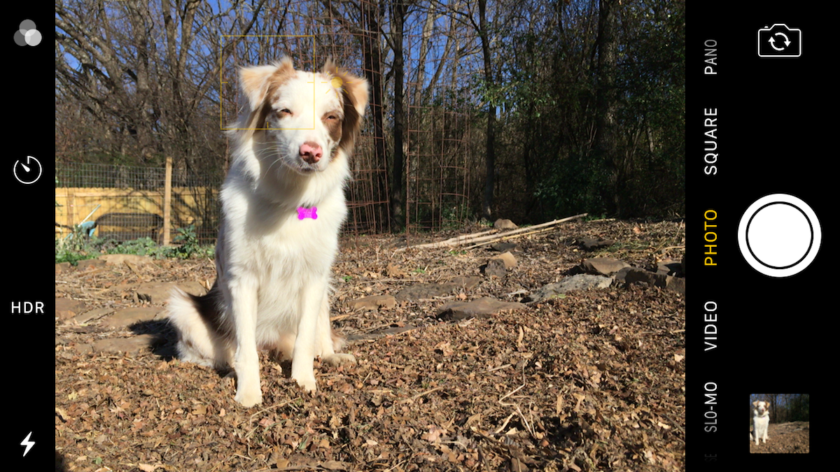 11 Mobile Photography Tips: Get Better Photos With Your Phone