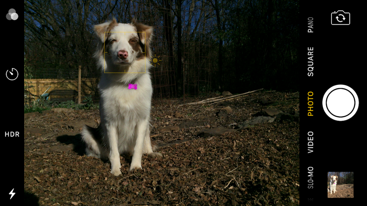 11 Mobile Photography Tips: Get Better Photos With Your Phone