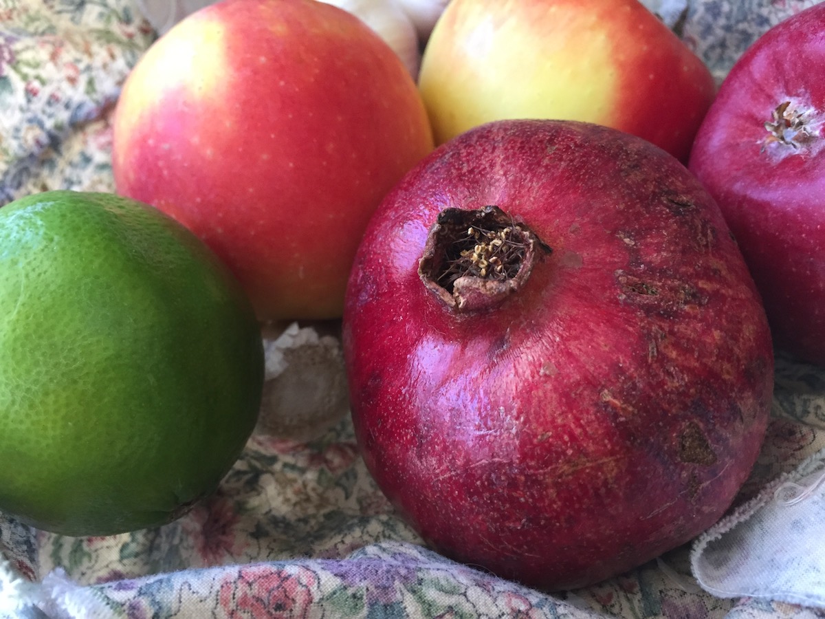 11 Mobile Photography Tips: Get Better Photos With Your Phone