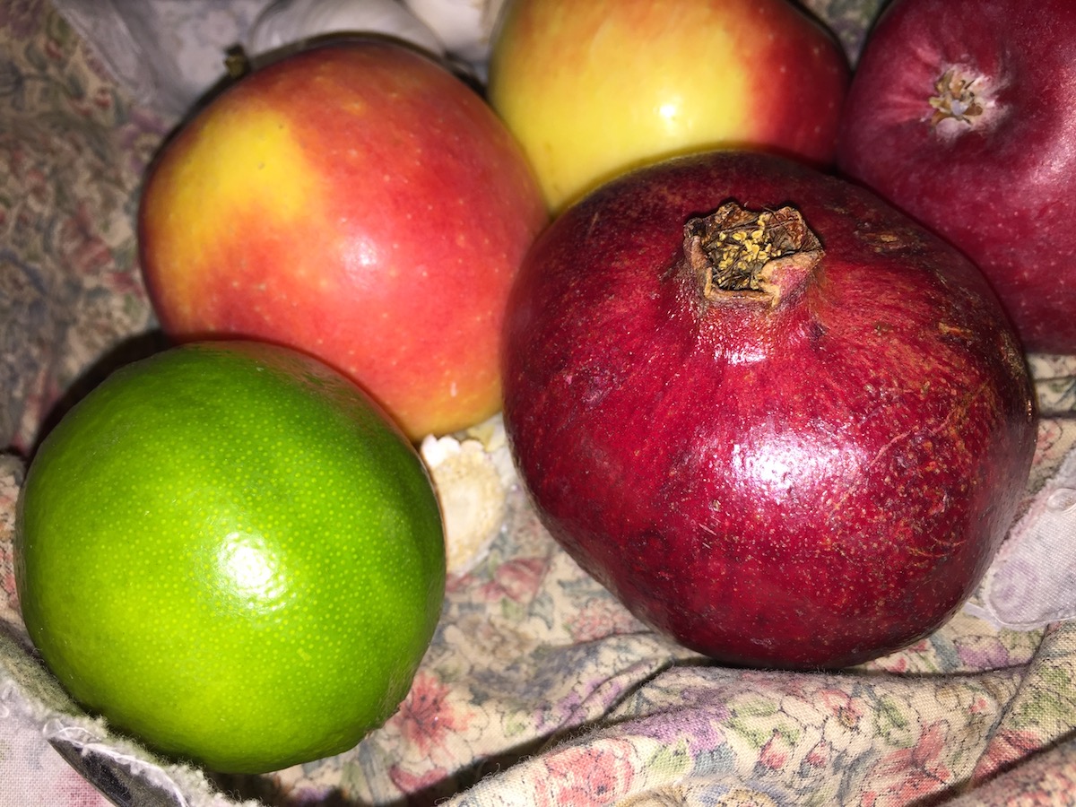 11 Mobile Photography Tips: Get Better Photos With Your Phone