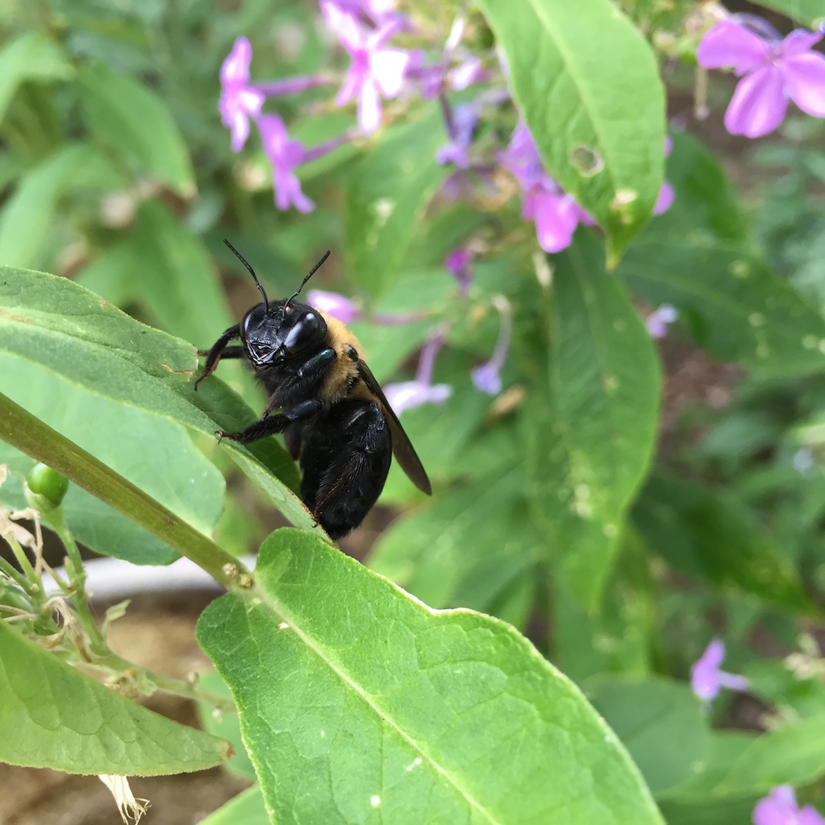 11 Mobile Photography Tips: Get Better Photos With Your Phone