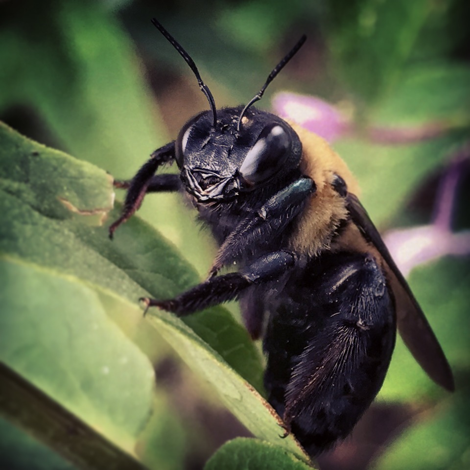 11 Mobile Photography Tips: Get Better Photos With Your Phone