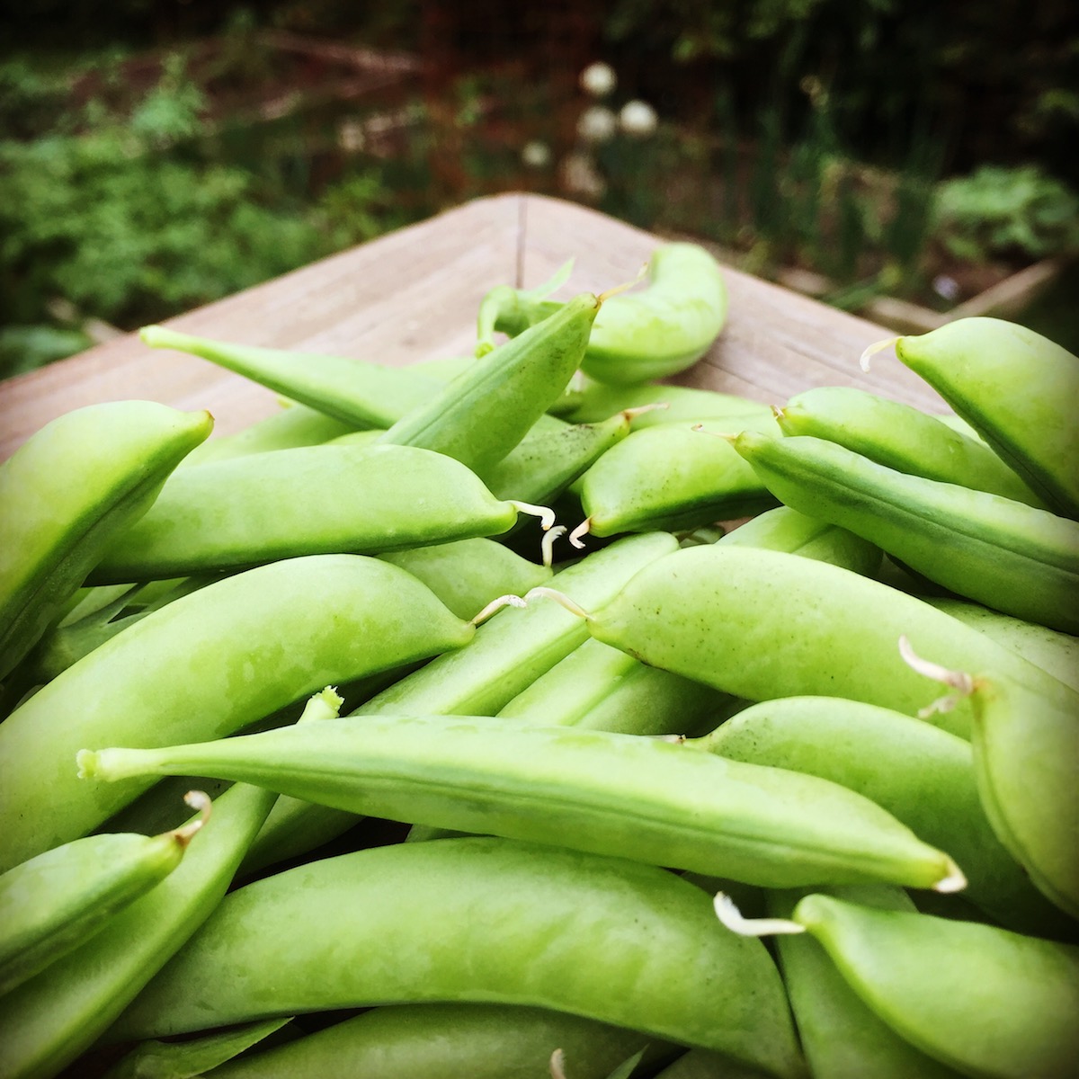 11 Mobile Photography Tips: Get Better Photos With Your Phone