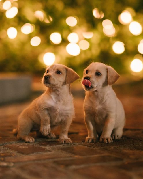 Behind The Shot: Oscar Nilsson