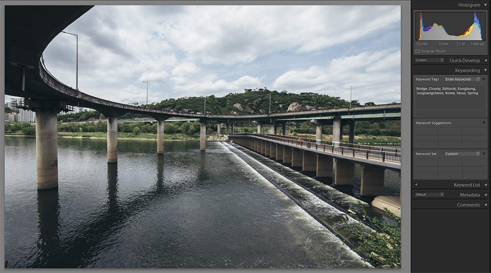 Best Way to Organize Photos