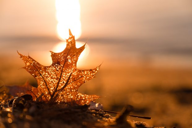 Beach photography tips