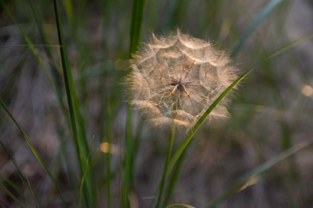 Beach photography tips