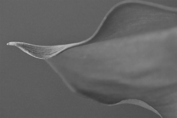 Abstract photography