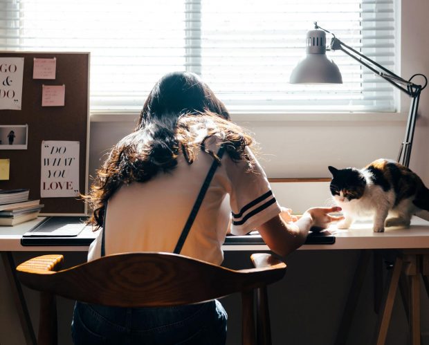 creative person working at desk with their cat