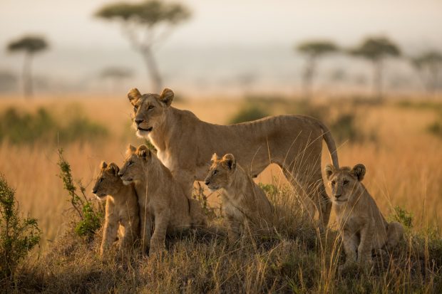 travel photography tips